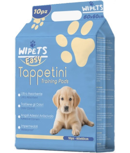TAPPETINI WIPETS 60X60 10P
