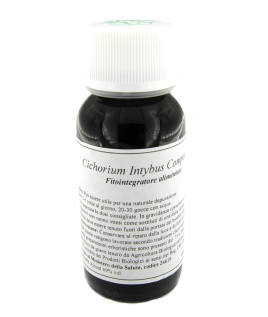 05N CICHORIUM INTYB.COMP LSV