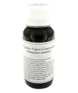 43N POPULUS NIGRA COMP LVS