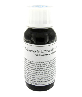 84C PULMONARIA OFF COMP LVS