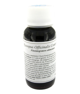 91C HYSSOPUS OFF COMP LVS