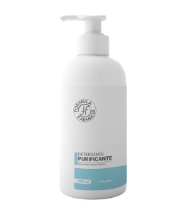 FORMULA DETERG PURIFICANTE 250ML