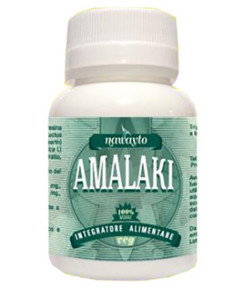 AMALAKI AMLA PHYLLANTUS 60CPR