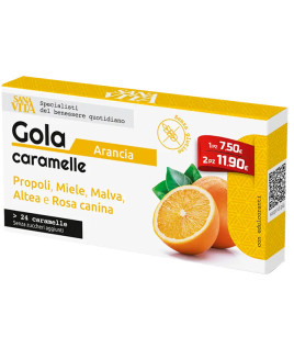 SANAVITA GOLA ARANCIA 24CPR