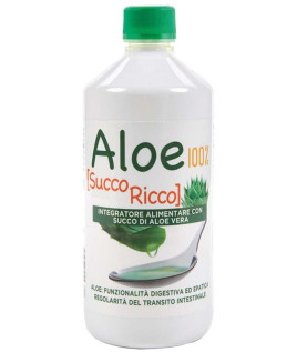 ALOE SUCCO/POLPA 100% 1LT