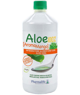 ALOE 100% AROMA MANGO 1LT