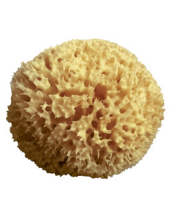 SPUGNA ARCIPELAGO MED NAT 12