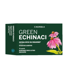 GREEN ECHINACI 36CPS