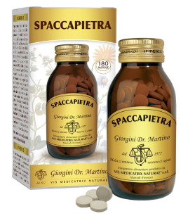 SPACCAPIETRA 180PAST