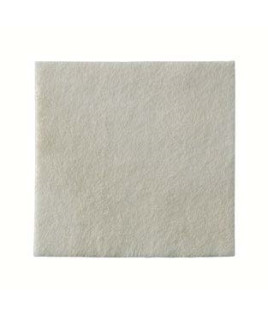 BIATAIN 3760 ALGINATE AG 10X10
