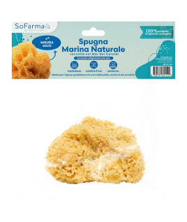 SPUGNA MARINA NATURALE MAXI SF+