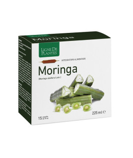 MORINGA 15AB 15ML