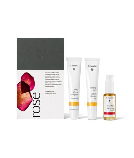 DR HAUSCHKA RITUALE ALLA ROSA