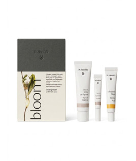 DR HAUSCHKA RITUALE RIGENERANT
