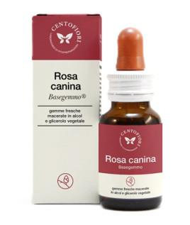 BASEGEMMO ROSA CANINA 30ML