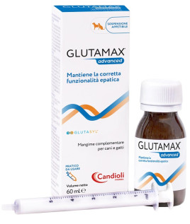 GLUTAMAX ADVANCED SOSPENS 60ML